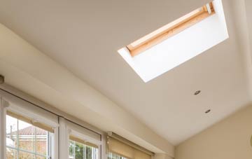 Rhadyr conservatory roof insulation companies