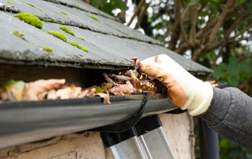 gutter cleaning Rhadyr, Monmouthshire