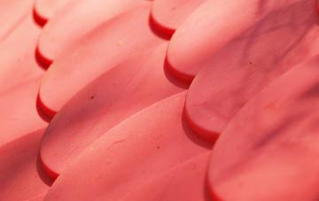 Rhadyr plastic roof costs