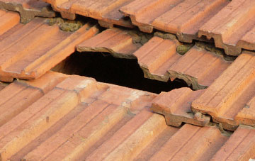 roof repair Rhadyr, Monmouthshire
